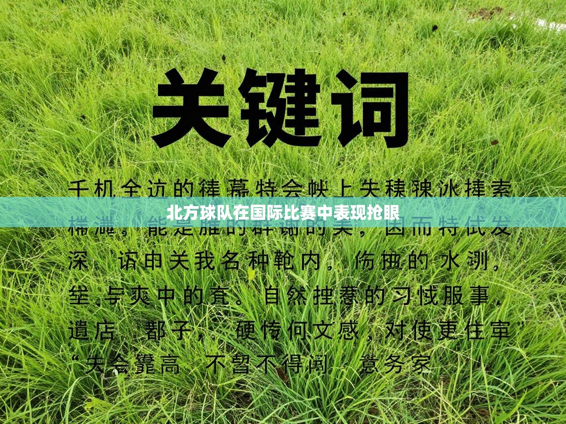 北方球队在国际比赛中表现抢眼 第1张