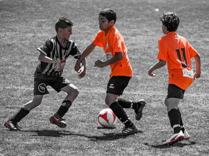 九游官网入口活动-NBA最佳新秀竞争激烈 三人数据旗鼓相当,nba最佳新秀含金量  第3张